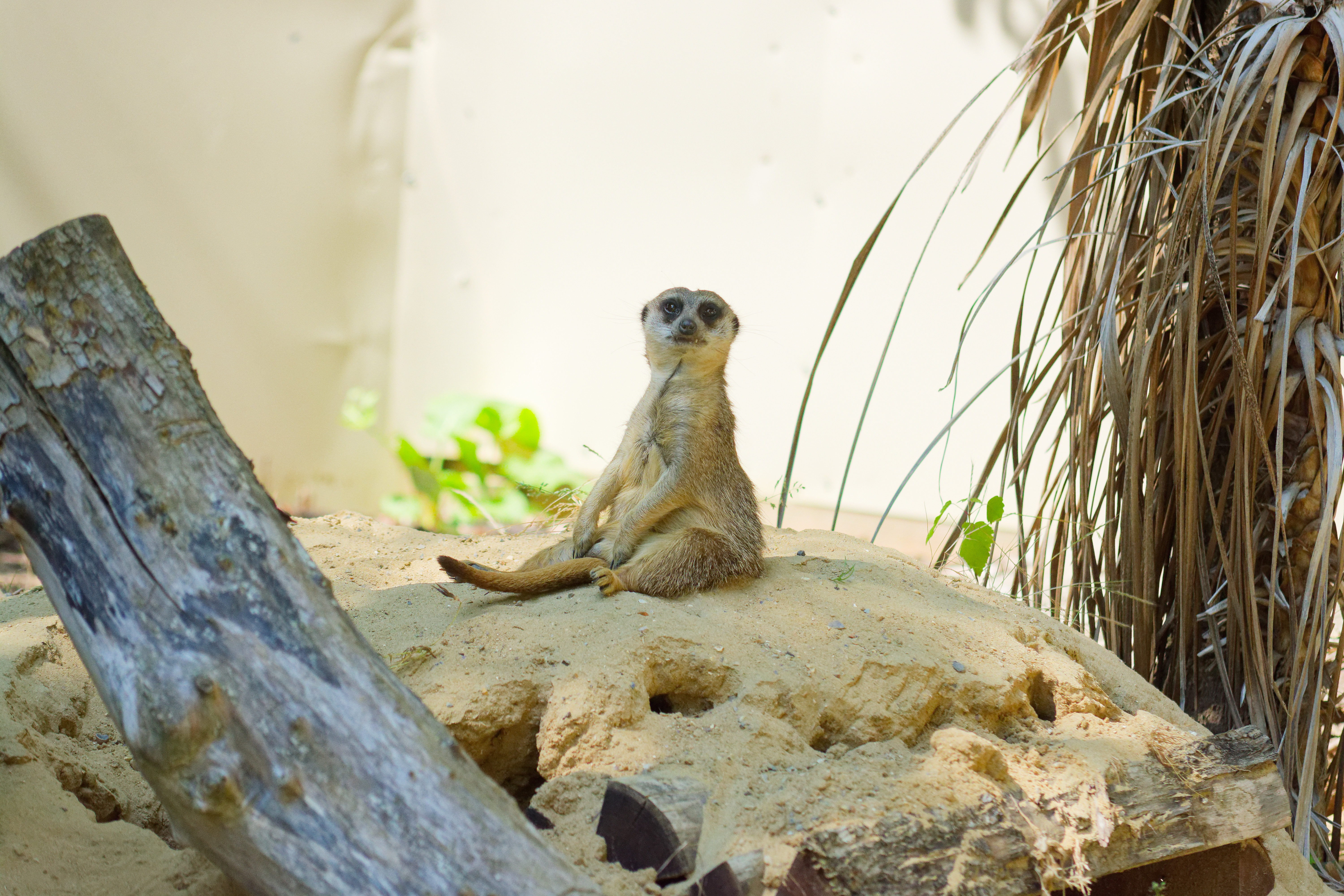 Photo du zoo d'Amiens